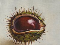 A chestnut